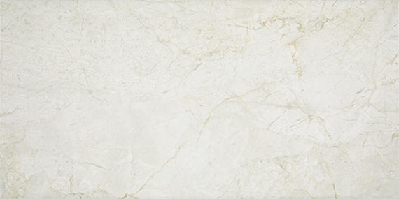 12x24 Platinum  Natural Marble-Look Matte Smooth Porcelain Tile Light Gray