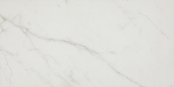 12x24 Platinum  Natural Marble-Look Matte Smooth Porcelain Tile White Gray