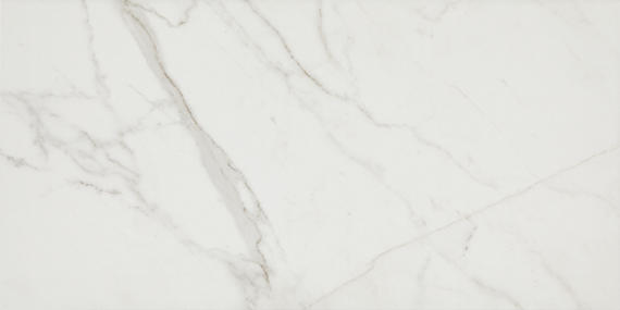 12x24 Platinum  Natural Marble-Look Matte Smooth Porcelain Tile White Gray