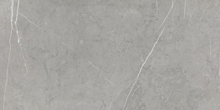 15x30 Platinum Natural Concrete-Look Matte Smooth Porcelain Tile