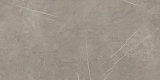 15x30 Platinum Natural Concrete-Look Matte Smooth Porcelain Tile