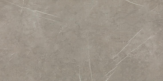 15x30 Platinum  Natural Concrete-Look Matte Smooth Porcelain Tile Warm Gray