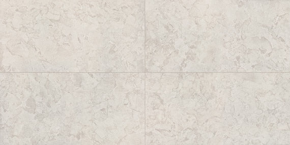 24x48 Forgehaus  Natural Stone-Look Matte Smooth Porcelain Tile Light Gray