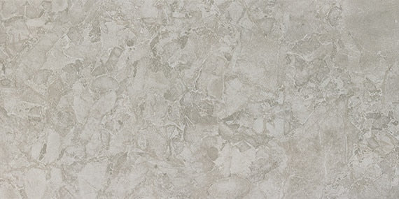 24x48 Forgehaus  Natural Stone-Look Matte Smooth Porcelain Tile Ash Gray