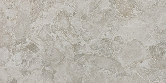 24x48 Forgehaus  Natural Stone-Look Matte Smooth Porcelain Tile Ash Gray