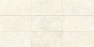 24x48 Uniche Natural Stone-Look Matte Smooth Porcelain Tile