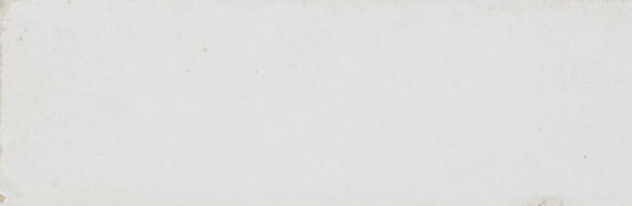 2x6 Rice  Natural Natural-Look Glossy Smooth Porcelain Tile Dusty White