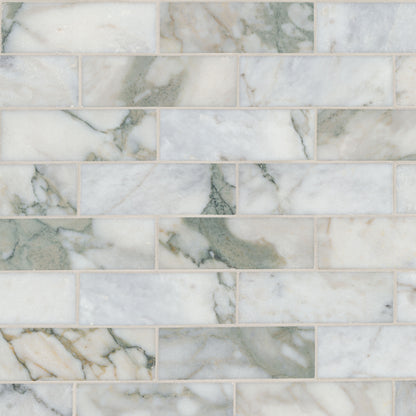 2x6 Coronado Mosaic Natural-Look Honed Smooth Marble Tile Beige Green