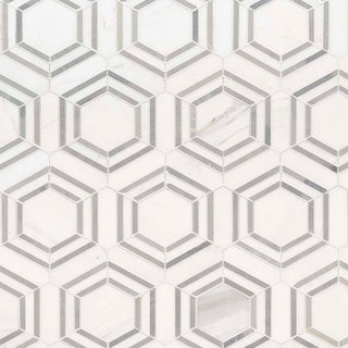 12x12 Georama Hexagon Framed Border Mosaic Natural-Look Polished Smooth Marble Tile