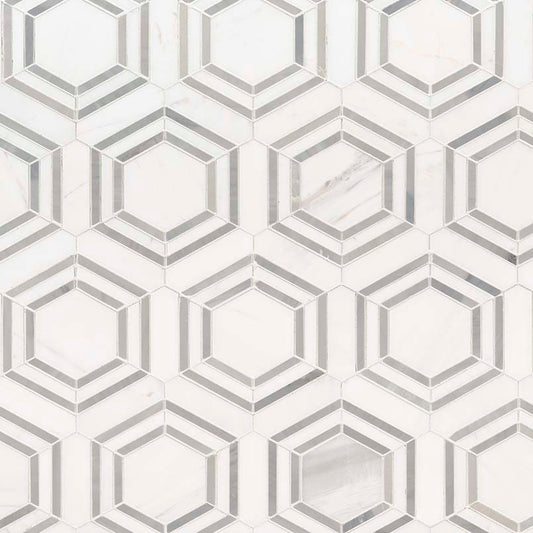 12x12 Georama Hexagon Framed Border Mosaic Natural-Look Polished Smooth Marble Tile White Gray