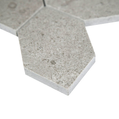 12x12 Lilly Hexagon Mosaic Stone-Look Honed Smooth Limestone Tile Gray Beige