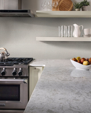 Light Gray - 12x12 Gray Circle Penny Round Mosaic Solid-Color Glossy Smooth Porcelain Tile
