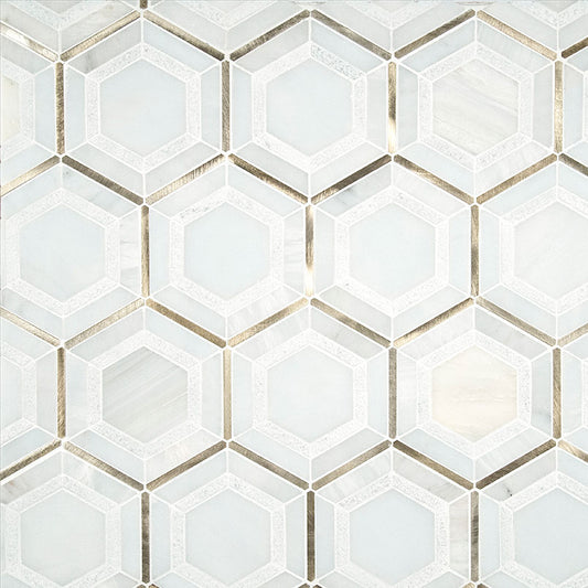 12x12 Medici Hexagon Framed Border Mosaic Metallic-Look Metallic Textured Porcelain & Metal Tile