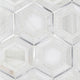12x12 Medici Hexagon Framed Border Mosaic Metallic-Look Metallic Textured Porcelain & Metal Tile White Silver