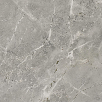 12x12 Platinum  Natural Marble-Look Matte Smooth Porcelain Tile Dove Gray