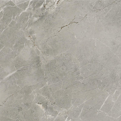 24x24 Platinum  Natural Marble-Look Matte Smooth Porcelain Tile Dove Gray
