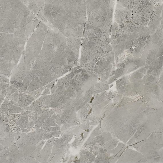 24x24 Platinum  Natural Marble-Look Matte Smooth Porcelain Tile Dove Gray