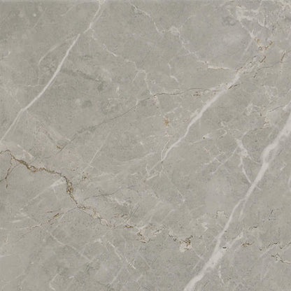 24x24 Platinum  Natural Marble-Look Matte Smooth Porcelain Tile Dove Gray