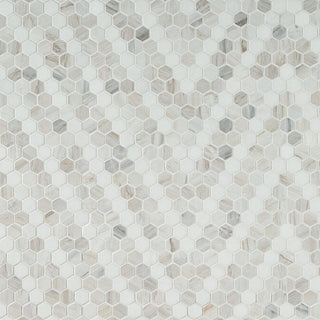 1" Angora Hexagon Mosaic Natural-Look Polished Smooth Marble Tile