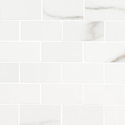 2x4 Aria Bianco Marble-Look Polished Smooth Porcelain Tile