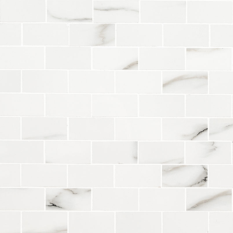 2x4 Aria Bianco Marble-Look Polished Smooth Porcelain Tile