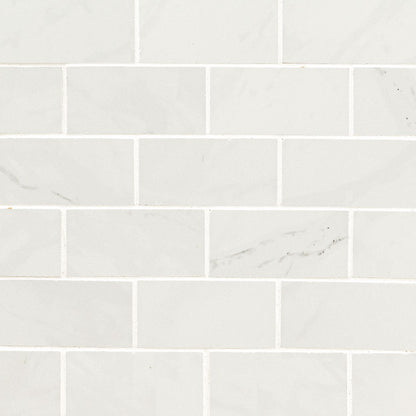 2x4 Aria Ice Stone-Look Polished Smooth Porcelain Tile