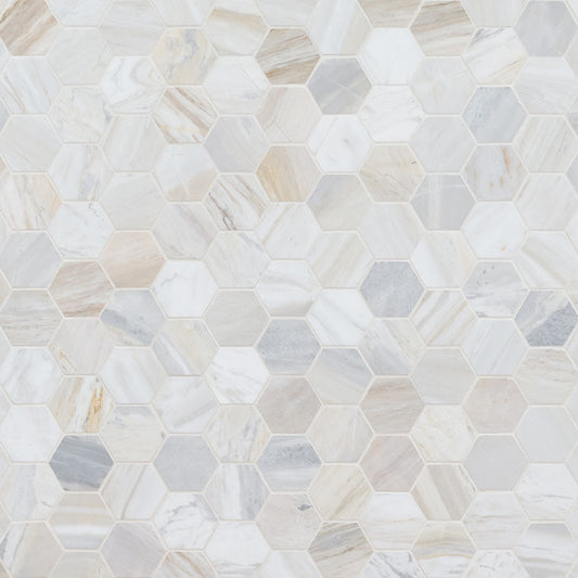 2" Athena Hexagon Mosaic Natural-Look Honed Smooth Marble Tile
