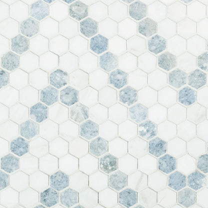 1x1 Azula Hexagon Wavy Mosaic Mixed-Color Polished Smooth Marble Tile