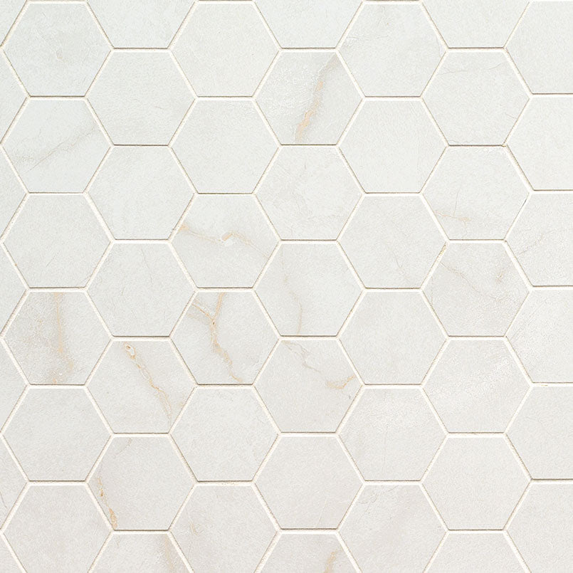 2x2 Brighton Hexagon Mosaic Marble-Look Matte Smooth Porcelain Tile