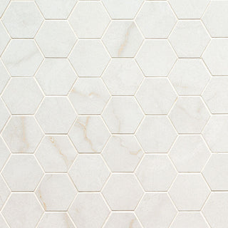 2x2 Brighton Hexagon Mosaic Marble-Look Matte Smooth Porcelain Tile