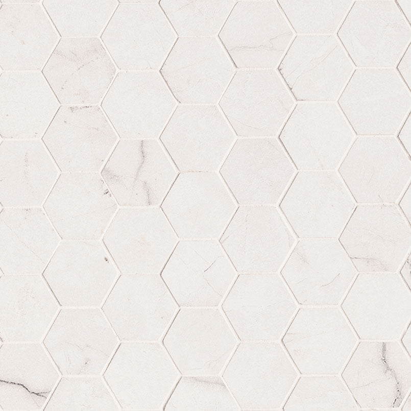 2x2 Brighton Hexagon Mosaic Marble-Look Matte Smooth Porcelain Tile