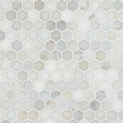 1" Calacatta Hexagon Mosaic Mixed-Color Polished Smooth Marble Tile