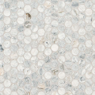 12x12 Capri Circle Penny Round Mosaic Natural-Look Honed Smooth Marble Tile
