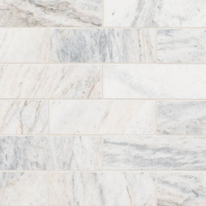 2x6 Capri Mosaic Natural-Look Honed Smooth Marble Tile