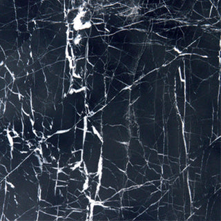 Black - 12x12 Oak Natural Polished Smooth Marble Tile