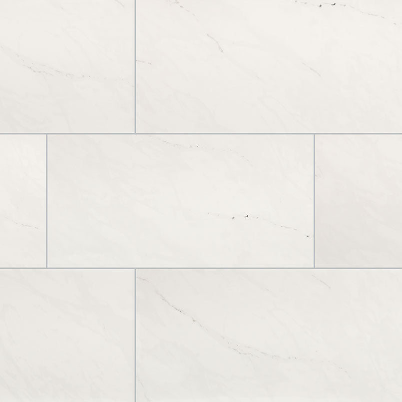 24x48 Aria Ice Stone-Look Polished Smooth Porcelain Tile